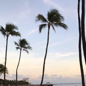 Meet your Posher, Jeanie